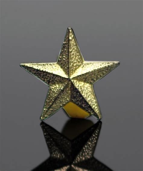 Picture Of Gold Star Lapel Pin
