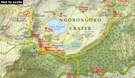 Ngorongoro Crater Safari 202324 Adventure Alternative