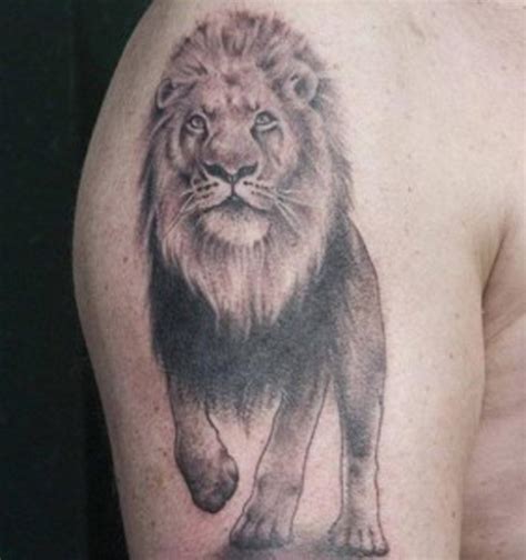 Trend Tattoos Lion Tattoos