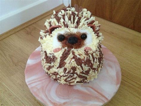 Hedgehog Cake Winter Cake Cute Cakes