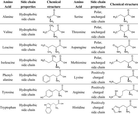 Amino Acid Structure And Side Chain Characteristics At Neutral Ph
