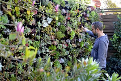 Living Canvas Vertical Garden Florafelt Living Wall Systems