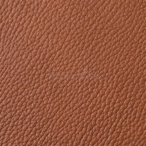 Leather Material Texture Stock Photo Image Of Textured 150287234
