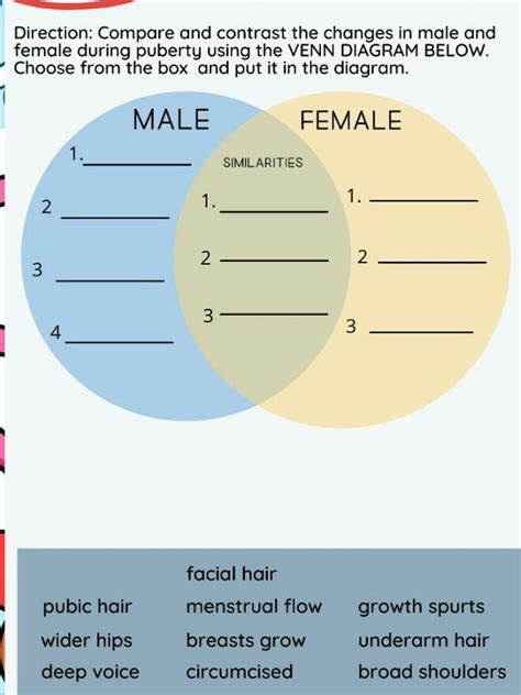 Direction Compare And Contrast The Changes In Male And Female During Puberty Using The VENN