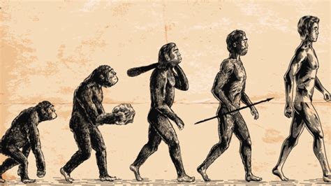 Darvin Week Human Evolution From Apes 644x362 பாமரன் கருத்து