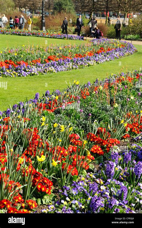 Spring Flowers Hyde Park London Uk Stock Photo Alamy