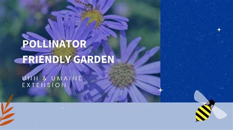 How To Create A Pollinator Friendly Garden Youtube