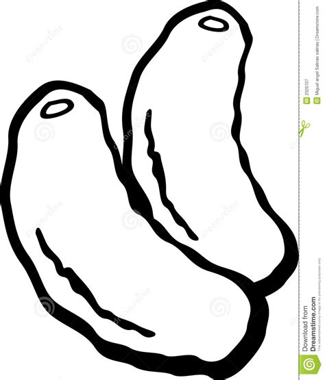 Download high quality pickle clip art from our collection of 42,000,000 clip art graphics. Pickles Vector Illustration Royalty Free Stock Photography ...