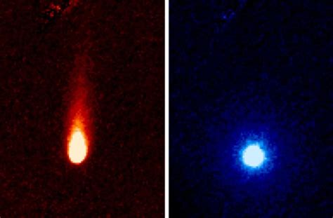 The Comet Of The Century Ison Became Visible To The Naked Eye Cat And