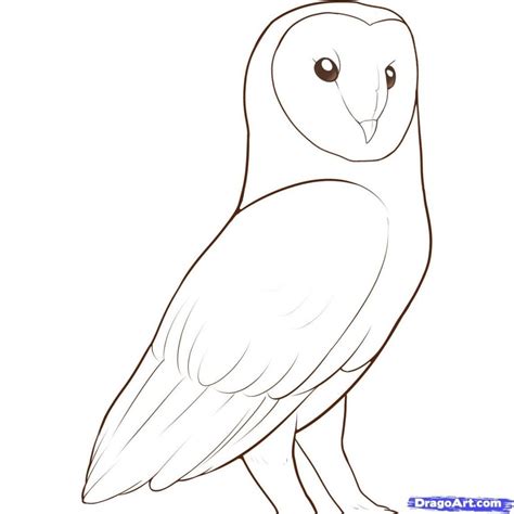 How To Draw An Owl Easy And Cute Owls Seem To Only Have Two Basic