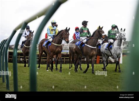 Ayr Races Coral Scottish Grand National Ladies Day Stock Photo Alamy