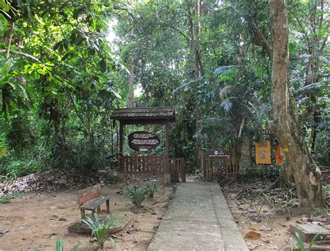 Malaysia has various forms of protection for natural habitats. Taman Negara National Park, Malaysia - Activities ...