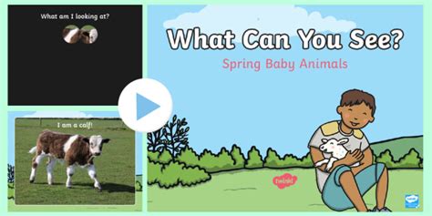 What Are Spring Animals Twinkl Teaching Wiki Twinkl
