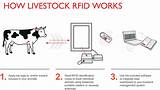 Companies Using Rfid Tags Images