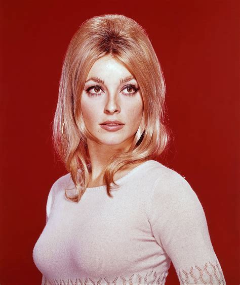 Sharon Tate💖 Sharon Tate Photo 42951162 Fanpop