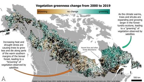 Climate Change Is Warming Canadas Great Expanse Of Boreal Forest