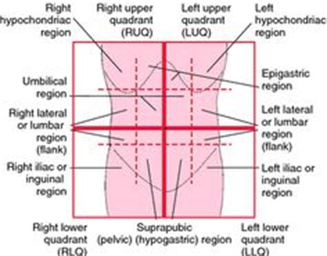 These planes are often used to describe location of structures or to body regions are further subdivisions of the body quadrants. Photos | Neuros- Social Networking For Medical Students | MeD+ | Pinterest | Medical students ...