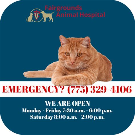 While on average, routine annual veterinary care might cost between $200 to $400 for dogs and $90 to $200 for cats, unplanned events such as accidents, injuries, or if your pet does have an emergency, you can minimize costs by providing the vet with as much specific information as possible. Pin on Cats...