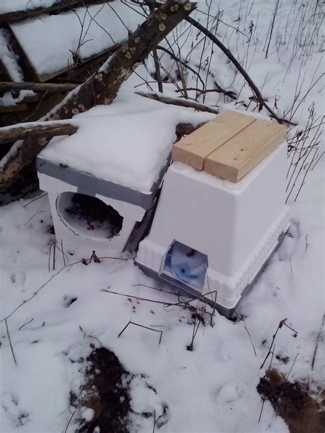 Outdoor cats will need shelter to protect them during the winter months. Easy Winter Cat Shelter: 5 Steps (with Pictures)
