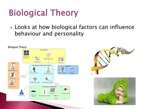Ppt Biological Perspective P1 Powerpoint Presentation Free