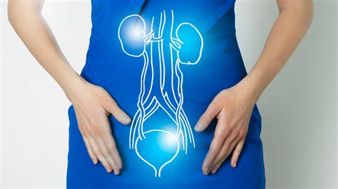 Utis Explained Causes Symptoms And Treatments