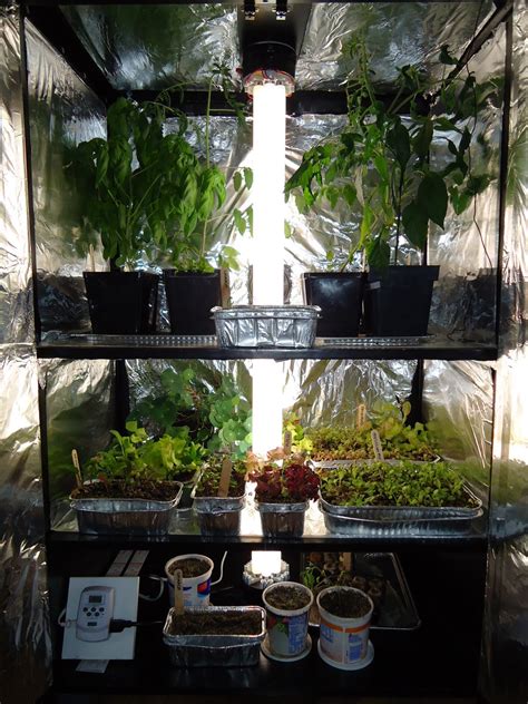 Our indoor grow kits are aimed at those that want to streamline their operation and get straight to while some complete indoor grow kits offer a grow tent with led lighting, others offer the works by. Thyme To Garden Now: Indoor Grow Box Limitations - Tomatoes