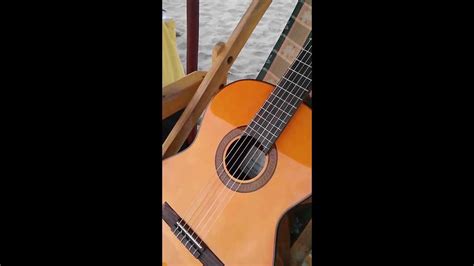 Its concept is to suppress frequencies that cause feedback effect and doesn't affect soundboard's vibrations. Acoustic Guitar Feedback - YouTube