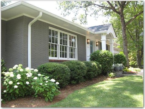 Viburnum is a reliable shrub for this type of use, as well as holly and boxwood. Pin on New House!!