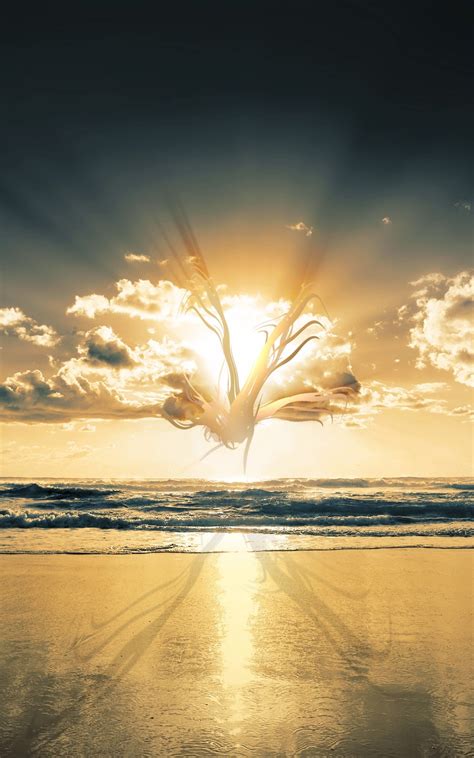 What you need to know is that these images that you add will neither increase nor decrease the speed of your computer. Abstract Shape In The Clouds Beach Sunset Android ...