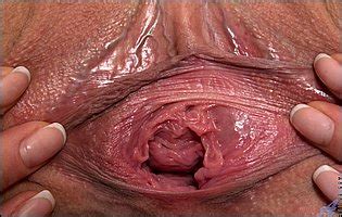 Older Blonde Ayda Getting Naked And Spreading Her Vagina