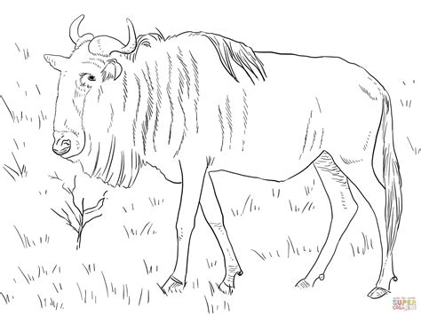 Realistic Blue Wildebeest Coloring Page Free Printable Coloring Pages