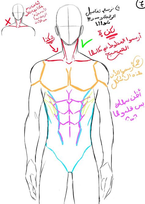 How To Draw A Male Body Step By Step