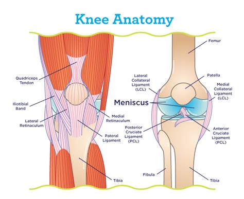 Knee braces are commonly prescribed after an acl reconstruction surgery. Floor Reconstruction Reery Time - Carpet Vidalondon