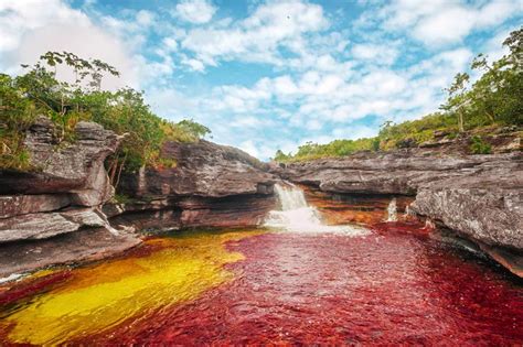 Cano Cristales River Colombia Rainbow River Images