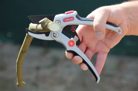 The site owner hides the web page description. Master Garten XtremGe Tec-Compact C1 Gartenschere etest.de ...