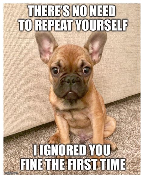 Lol yeah so am i lol. Didn't take long for my friend to turn my frenchie into a ...
