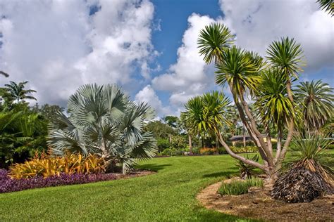 Fairchild Tropical Botanic Garden Miami