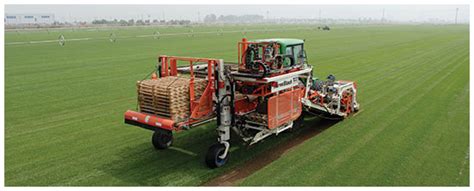 Typically, lawn care and landscaping professionals can perform many of their duties without coming into physical contact with clients. SOD Installation Companies Near Me | A-G Sod Farms