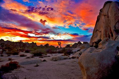 Joshua Tree National Park In California Due Deserti In Un Parco