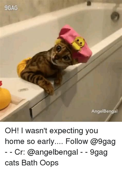 9gag angelbengal oh i wasn t expecting you home so early follow cr 9gag cats bath oops