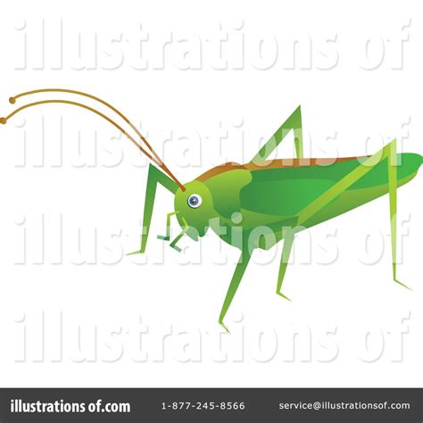 Crickets Clipart 20 Free Cliparts Download Images On Clipground 2023