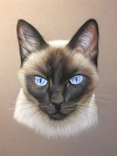 Cats vs dogs using siamese cnn with triplet loss. #cat #art | siamese cats, my favorite. in 2019 | Cat ...
