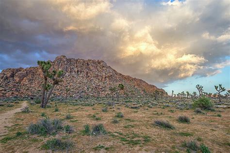 Desert Beauty 2 Photograph By Joseph S Giacalone Fine Art America