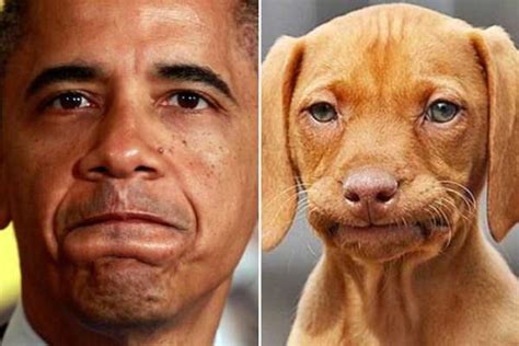 Famous People And Their Dog Look Alikes Klykercom