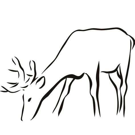 Animal Outline Printable Animal Outlines For Coloring And Crafts
