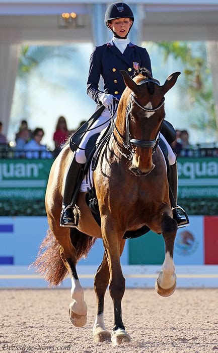 World Equestrian Games Dressage Grand Prix Start List Dressage News
