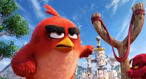 Fotos Angry Birds O Filme 2016 09052016 Uol Entretenimento
