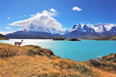 Patagonia Regions Guide Where Should You Go Bearfoot Theory
