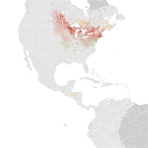 Black Billed Cuckoo Abundance Map Ebird Status And Trends