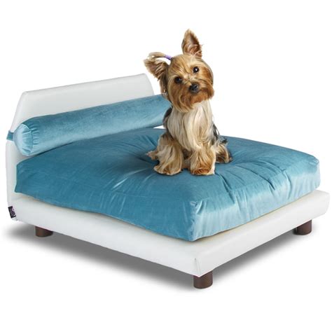 Club Nine Pets Aqua Lido Orthopedic Dog Bed, 26" L X 37" W | Petco